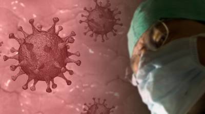 Новый штамм коронавируса был выявлен в России в конце 2020 года
