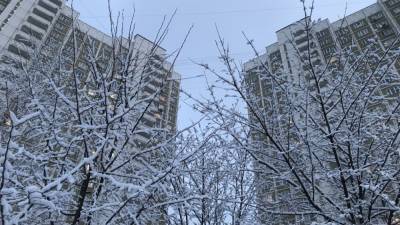 Центральную Россию на следующей неделе накроют сильные морозы