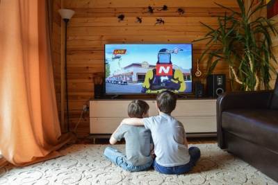 Германия: С 11 января немецкие телеканалы увеличат программы для детей и подростков