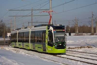 Три трамвая и троллейбус в Петербурге пойдут по новым маршрутам