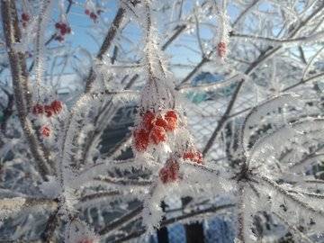 В Башкирии ударят морозы до -30 градусов