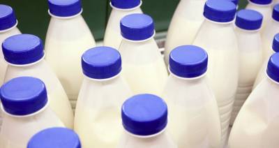 Валовое производство молока по сравнению с 2019 г. выросло на 5,6 %