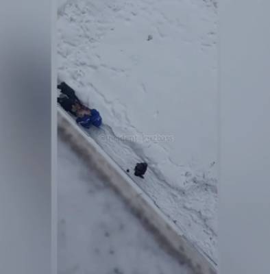 Установлена личность женщины, погибшей после падения из окна седьмого этажа в Кемерове