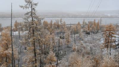 На Колыме объявили экстренное предупреждение из-за сильной метели