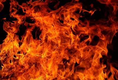 Пожарные эвакуировали двух человек из-за загоревшегося электросчетчика в Бокситогорске