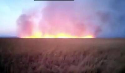 В Приморье сгорело четыре тысячи гектаров природного парка "Хасанский"