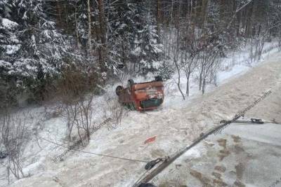 В Клепиковском районе Рязанской области машина улетела в кювет