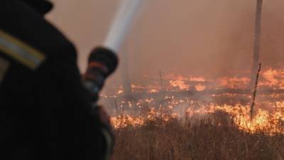 Природный парк "Хасанский" сгорел на юге Приморья