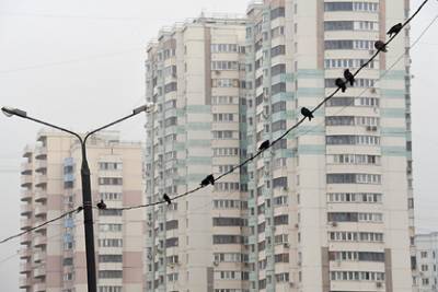 России предрекли падение цен на жилье