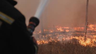 Поджог уничтожил сотни гектаров приморского заповедника "Хасанский"
