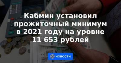 Кабмин установил прожиточный минимум в 2021 году на уровне 11 653 рублей