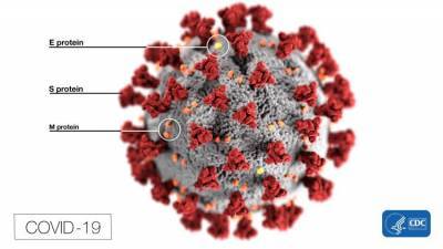 Первый случай "британского" штамма коронавируса выявлен в России