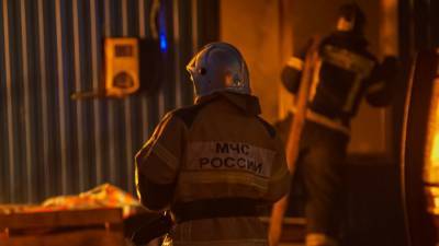 Пожарные нашли 26 мертвых собак в одной из петербургских квартир