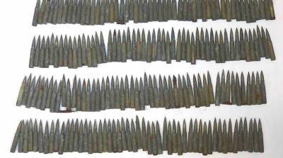 Житель Брестского района хранил более 300 патронов для винтовки Мauser - belta.by - район Брестский