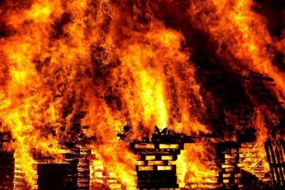 В Удмуртии за новогодние праздники произошло 46 пожаров