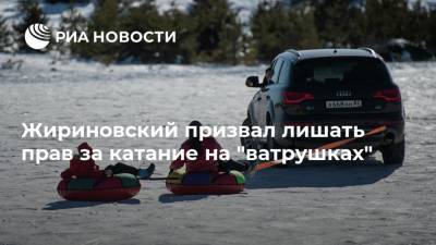 Жириновский призвал лишать прав за катание на "ватрушках"