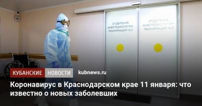 Коронавирус в Краснодарском крае 11 января: что известно о новых заболевших