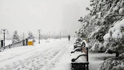 Трескучие морозы: температура в Москве опустится до -25
