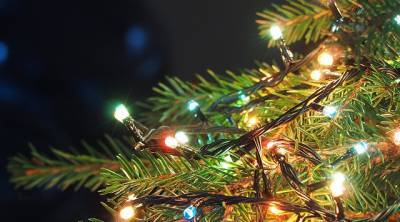С новогодней елки в Тульской области украли 40 метров гирлянды
