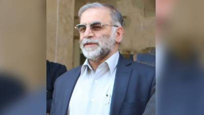 Иран передал Интерполу запрос на аресты по делу физика Фахризаде