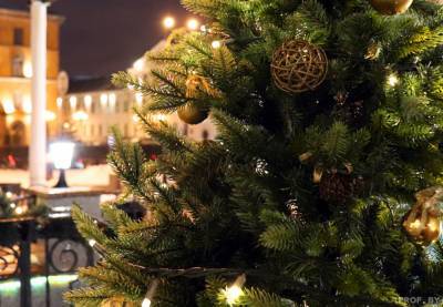 К рождественским и новогодним праздникам белорусы купили более 133 тысяч елок