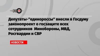 Депутаты-"единороссы" внесли в Госдуму законопроект о госзащите всех сотрудников Минобороны, МВД, Росгвардии и СВР