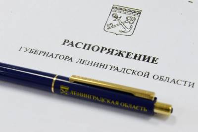 Марина Григорьева назначена новым председателем комитета по молодежной политике Ленобласти