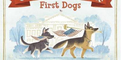 У одной из собак Джо Байдена будет своя инаугаврация это первый пес, попавший в Белый дом из приюта