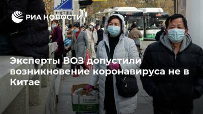 Эксперты ВОЗ допустили возникновение коронавируса не в Китае
