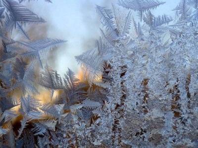 В Ленобласти ударят 30-градусные морозы