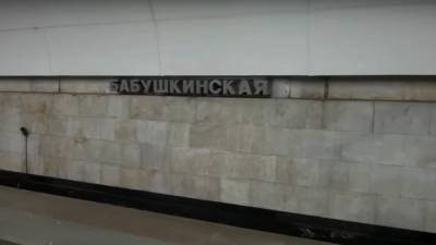 Машинист спас ребенка в метро на северо-востоке Москвы