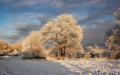 МЧС предупреждает о резком похолодании в Тверской области