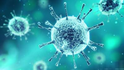 Российские и узбекские ученые предложили способ уничтожения коронавируса