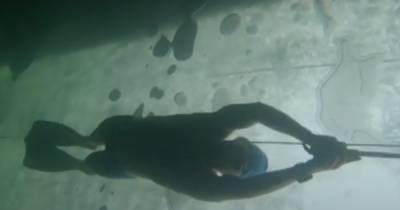 Москвичка проплыла подо льдом Байкала и установила мировой рекорд