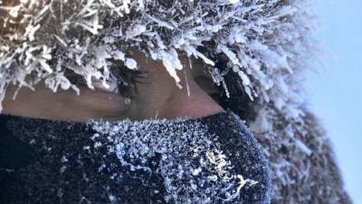 В Ленобласти ожидаются аномальные морозы до −30 градусов