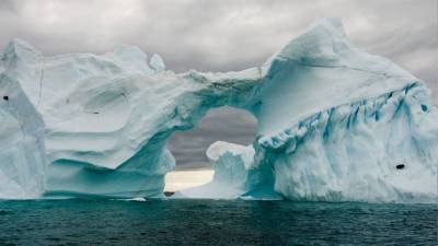Ученые бьют тревогу из-за древней "ледяной последней зоны" в Арктике