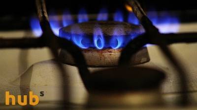 Шмыгаль поделился планами по снижению бытовых цен на газ