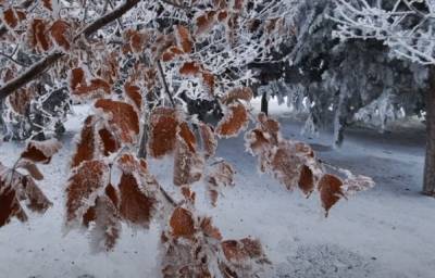 Настоящая зима все ближе: Диденко рассказала, какой будет погода в Украине 12 января