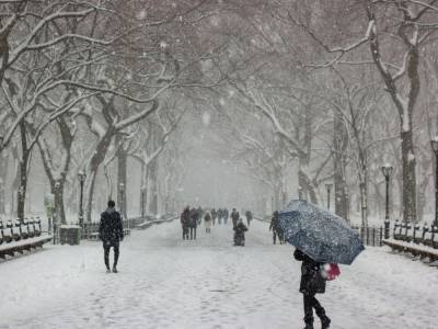 Погода в Одессе 12 января: дождемся ли снега?