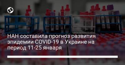 НАН составила прогноз развития эпидемии COVID-19 в Украине на период 11-25 января