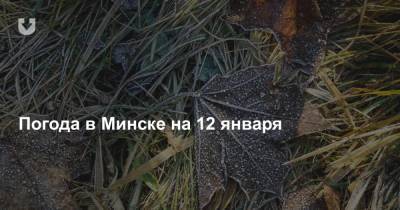 Погода в Минске на 12 января