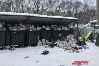 Хабкрай в новогодние праздники столкнулся с проблемой вывоза мусора