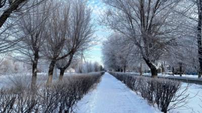 Погода в Соль-Илецке обещает снежную неделю