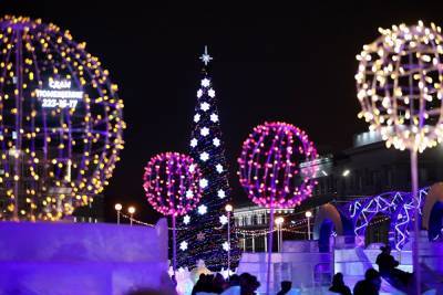 В Челябинске решили вопрос с утилизацией новогодних елок