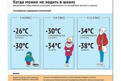 Ярославским школьникам разрешили не ходить в школу в морозы