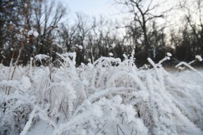 12 января Волгоградскую область ждет снег и похолодание до -14°