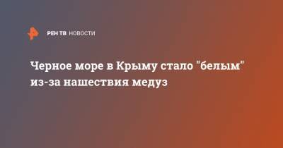 Черное море в Крыму стало "белым" из-за нашествия медуз