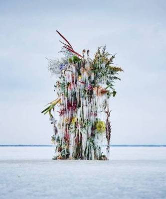 Инсталляция из замороженных цветов на Хоккайдо