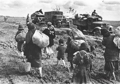 Почему во время голода 1947 года СССР продавал зерно