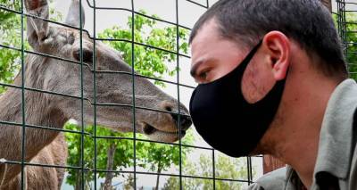 Тбилисский зоопарк в 2021 году получит более $1,4 млн долларов